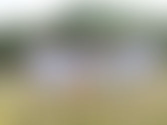 Agroforesterie et dessalement solaire : la Stratégie de Sand to Green pour verdir les déserts