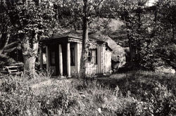 Paviljonen 1917