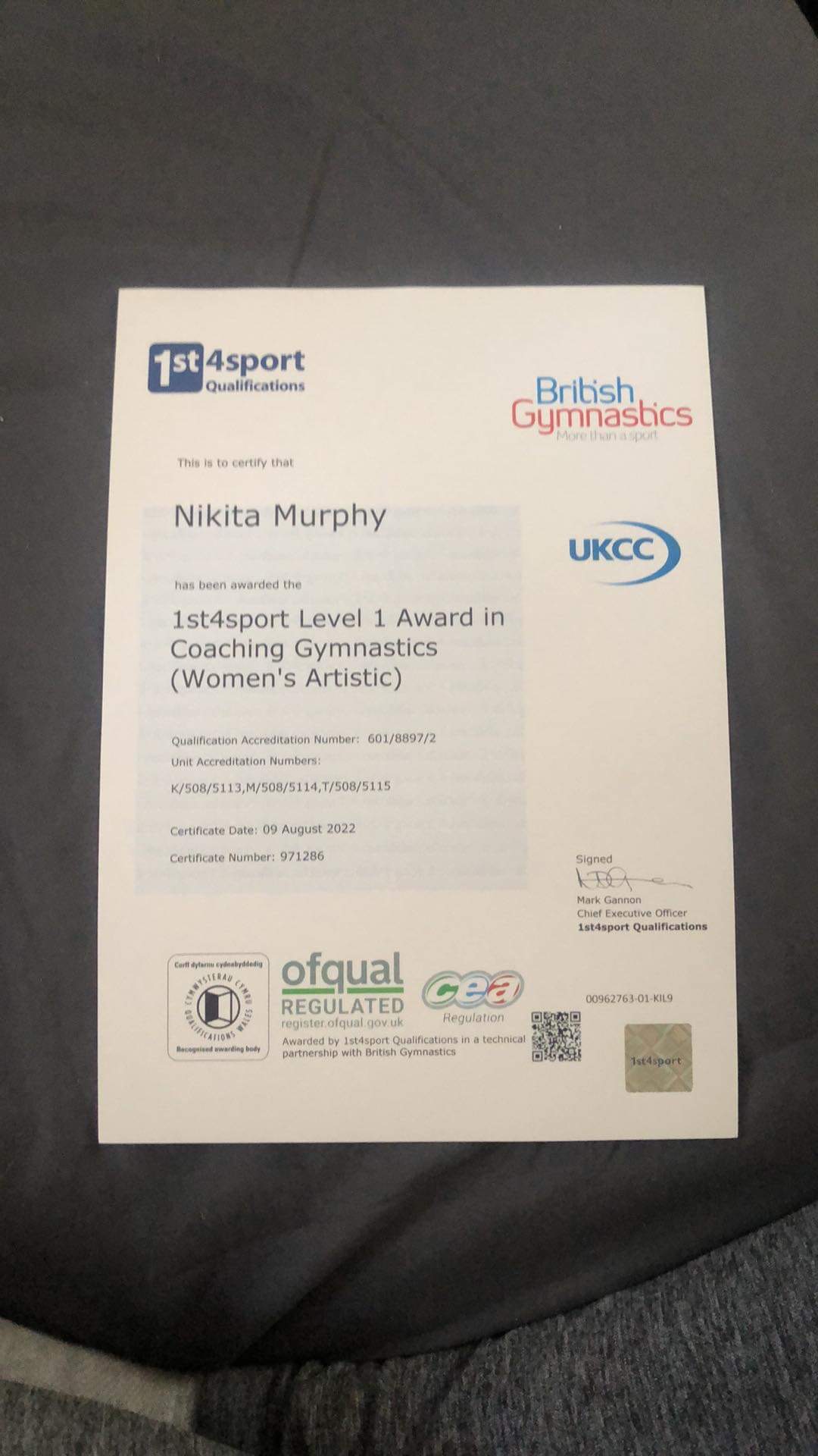 Meet the Team Island Gymnastics