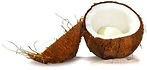 cocoa butter