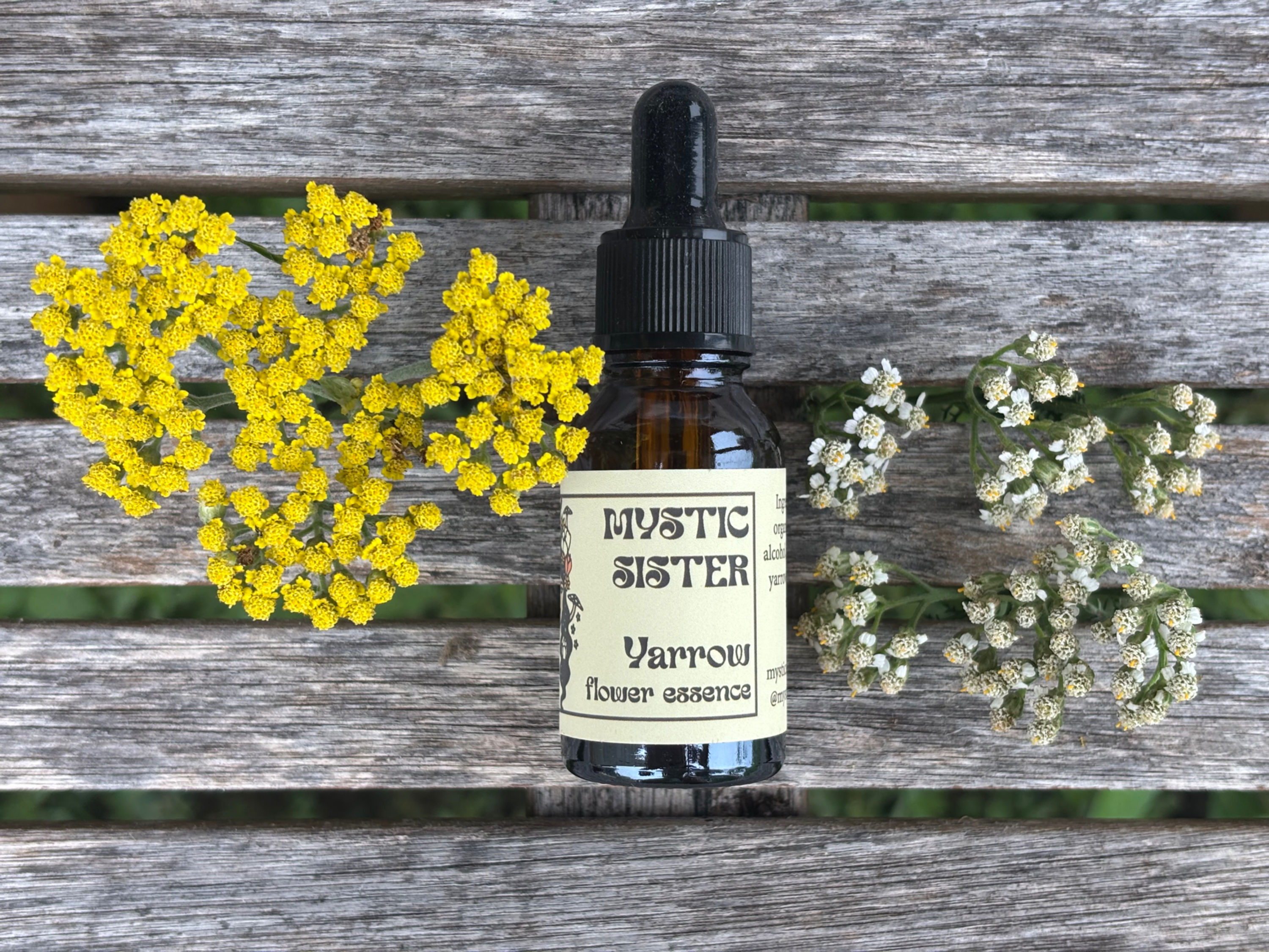 Yarrow Flower Essence