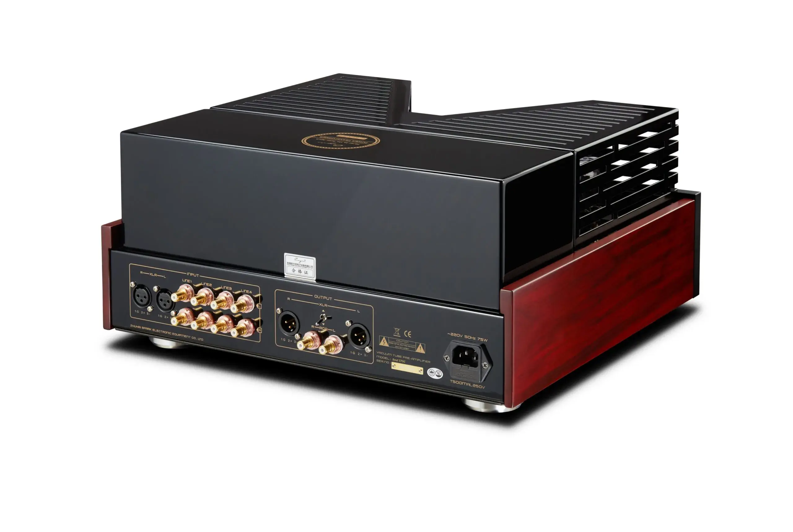 Cayin mod Soul 170C