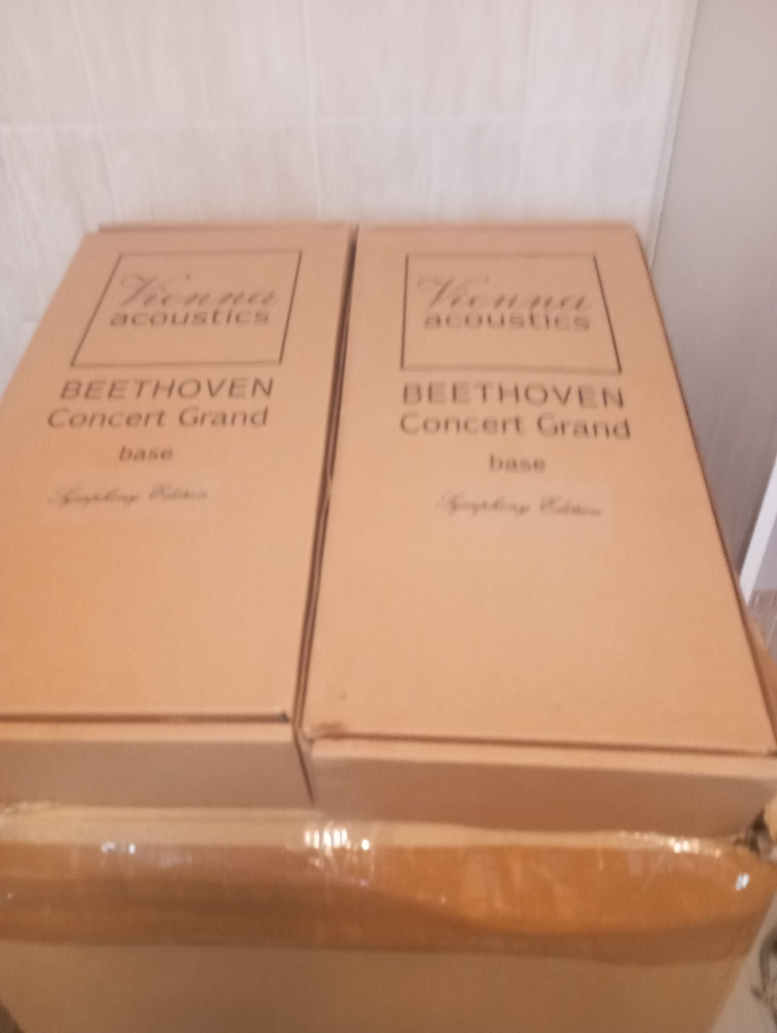 Vienna Acoustic mod Bethoven Concer Grand