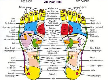 reflexology (1).jpg