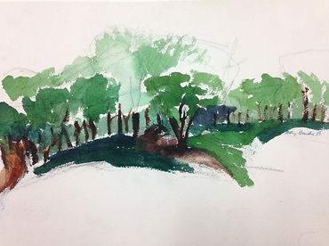 water color painting of distant stand of trees on white background