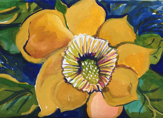 yellow flower with conical center, cupped petals, green leaves on blue background, painting on paper