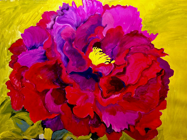 stunning purple and dark red peony with bright yellow center on lime green background