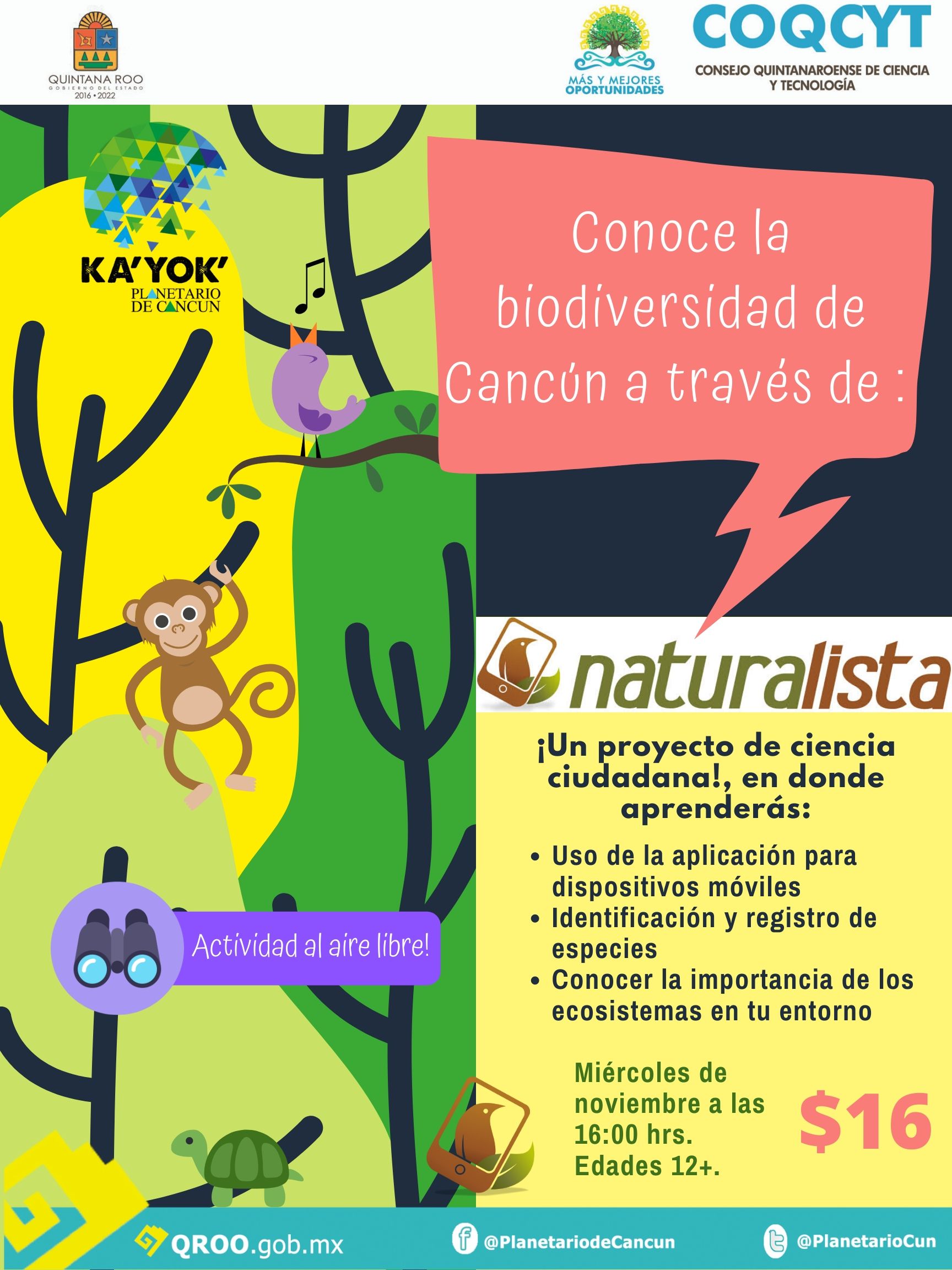 Actividad: Naturalista