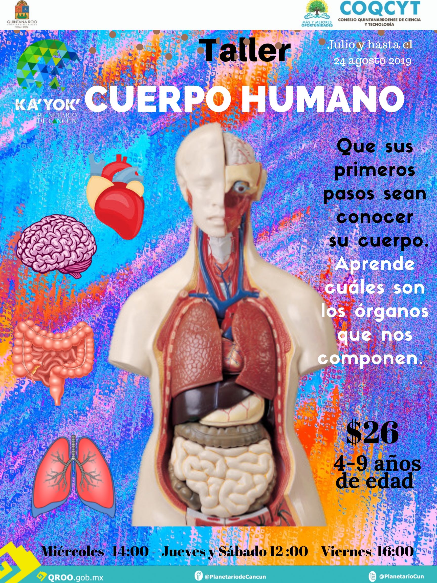 Taller: Cuerpo Humano