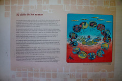 Museografía Lona El Cielo de los Mayas.jpg