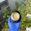 Thumbnail: Batana & Clove Hair Balm + Golden Growth Oil 