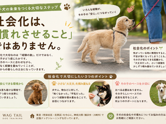 【社会化は、「慣れさせること」ではありません。】