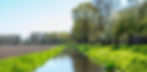De Biesdeelhoeve omgeving