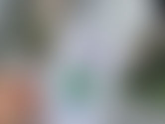 新しいWeb Siteと新しい生活