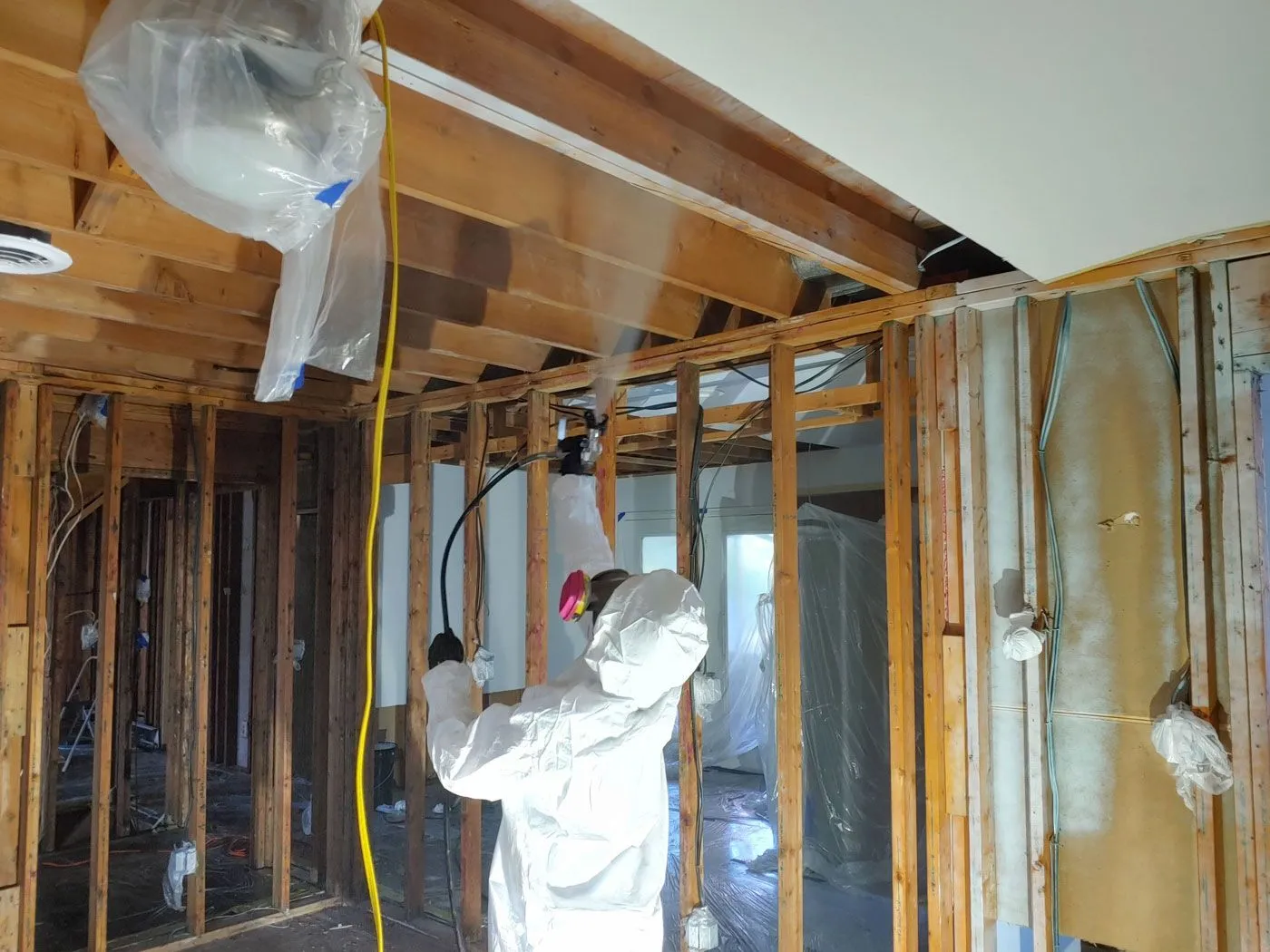 Mold Remediation with Anabec in Seattle