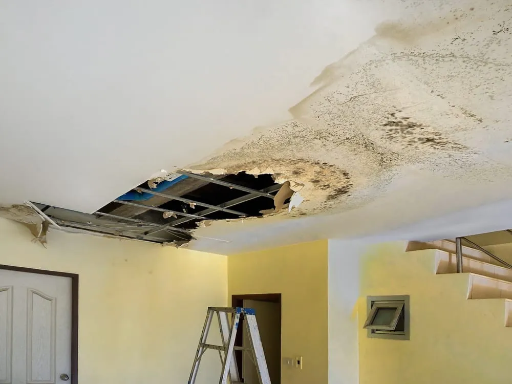 Drywall Water Damage Repair in Seattle