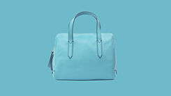 blue purse