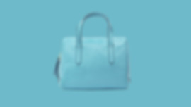blue purse