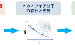 安定性と迅速強化を両立する自己強化ゲル材料の開発～計算・情報・実験の融合研究によって設計指針を提案～
