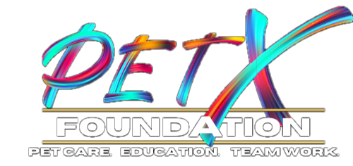 PETX Foundation.png
