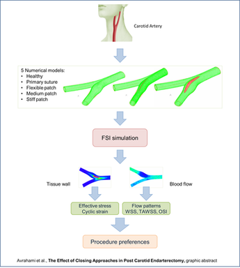 Avrahami, Idit, Dafna Raz, and Oranit Bash. "Biomechanical aspects of closing approaches in postcarotid endarterectomy." Computational and Mathematical Methods in Medicine 2018.1 (2018): 4517652.