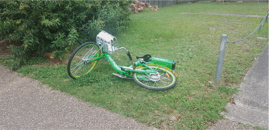 Bike litter