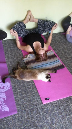 Restorative Yoga