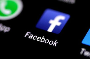 Facebook veiculará programas jornalísticos em serviço de vídeo
