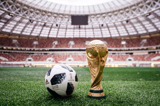 A bola da Copa