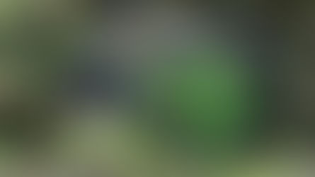 Casal e duas crianças são encontrados mortos às margens de rodovia em Bagé