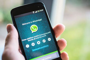 Usuários relatam problemas no aplicativo WhatsApp no mundo todo