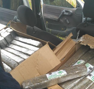 Polícia apreende mais de 200 quilos de maconha