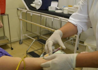 Estado confirma 510 casos de toxoplasmose em Santa Maria
