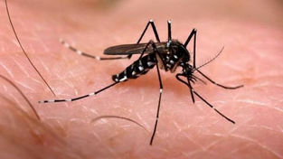 Cachoeira do Sul está em alerta contra a Dengue