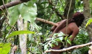 Índio vive isolado há 22 anos, após povo ser dizimado em Rondônia