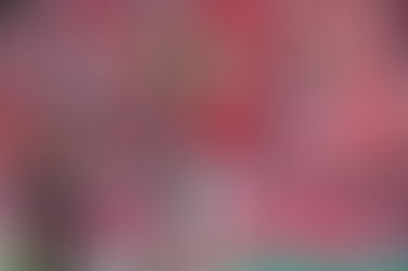 Jogadores do Inter apontam desgaste após sequência de jogos