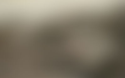 Réptil fóssil de mais 230 milhões de anos é identificado no interior de Candelária