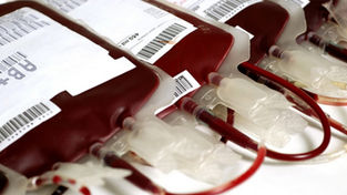 HEMOCENTRO PRECISA DE DOADORES DE SANGUE