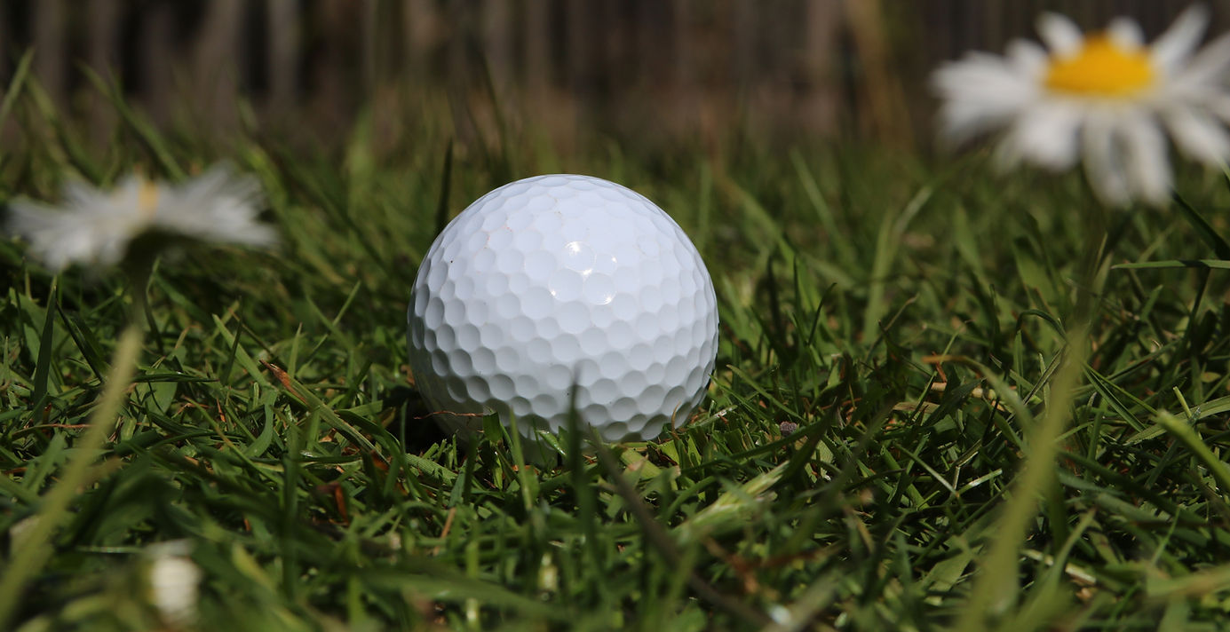 White golf ball resting in green grass with blurred daisies.
