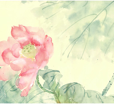 粉色荷花.jpg
