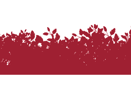 CESPUGLI