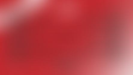 2024 NASCAR Bracket Challenge