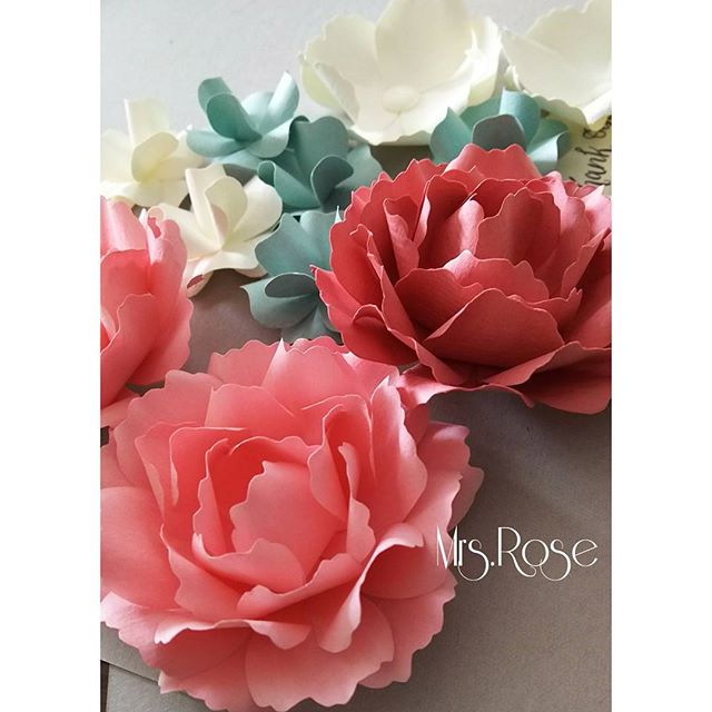 Mrs Rose
