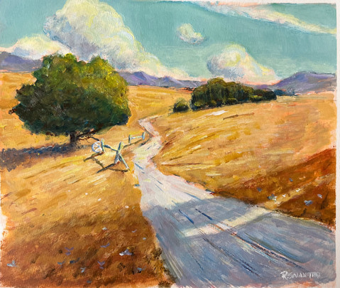 The Trail