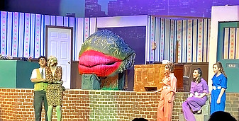 IMG_5395_edited_edited.jpg