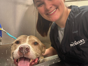 Stuff to Smile About: A Peek Inside #LifeAtPetSmart
