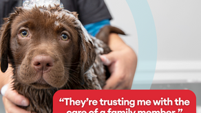 Celebrating the Unsung Heroes: The Heart of PetSmart Grooming