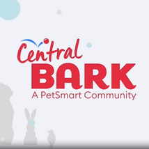 10 Things to Love About Central Bark—PetSmart's Latest Communication Tool for Associates + How to Download