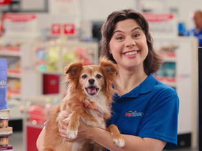 Benefits To Bark About - At Work and Beyond