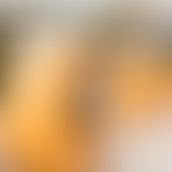 PetSmart Scholarship Foundation Recipient Story: Kaleigh